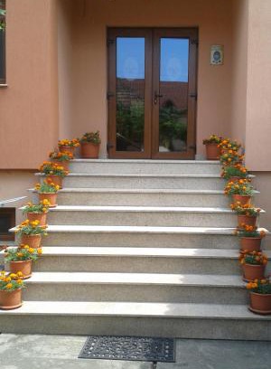 Baile Felix House | Pensiunea Damiris