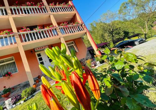 Arieseni House | Pensiunea Delia