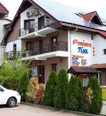Baile Felix House | Pensiunea Tisa