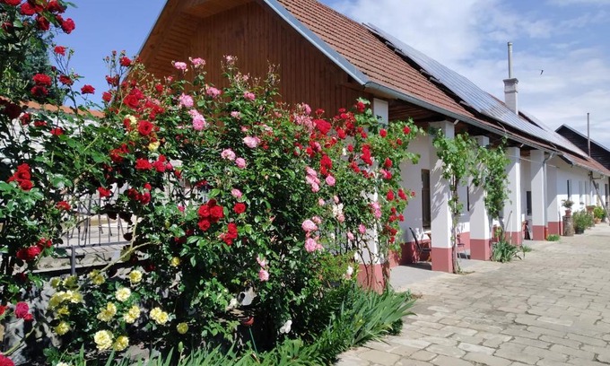 Veseli nad Moravou Apartment | Penzion Na výminku