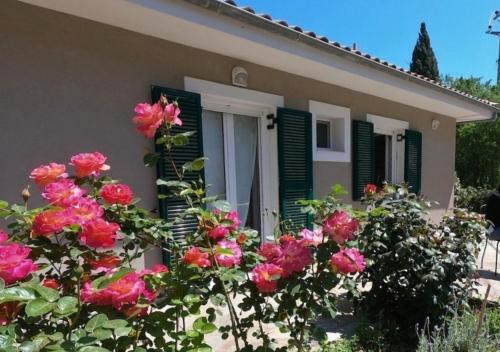 Asprogerakata Apartment | Peonia Lefkas Flower