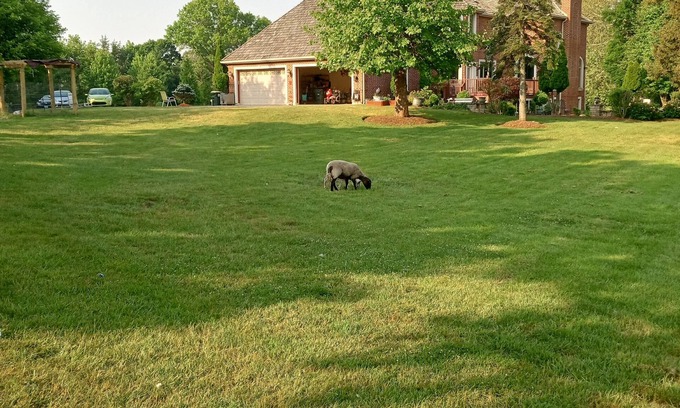 Barrington House | Perfect Family Getaway: Spacious 5BR Home in Barrington