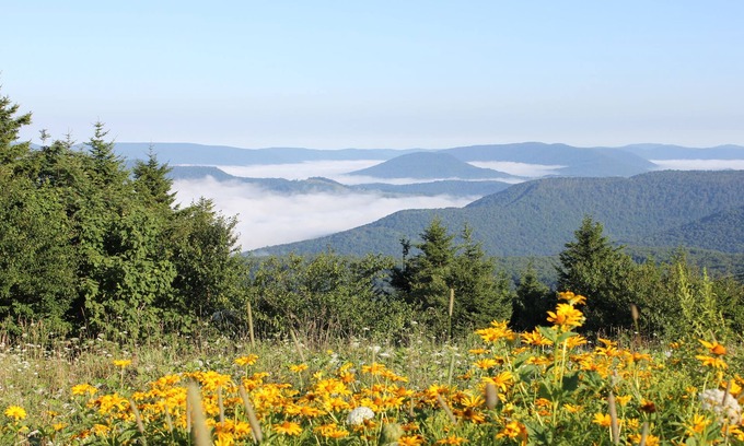 Snowshoe Condo | Perfect for mtn bikers at Village- 1st Floor - New gated back porch access