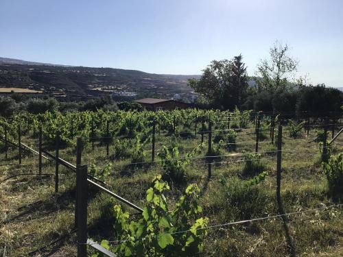 Pano Arodhes House | Pervolaris Cottages 2