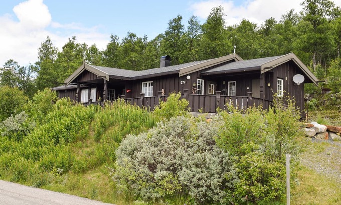 Nore og Uvdal House | Pet friendly home in Uvdal with WiFi