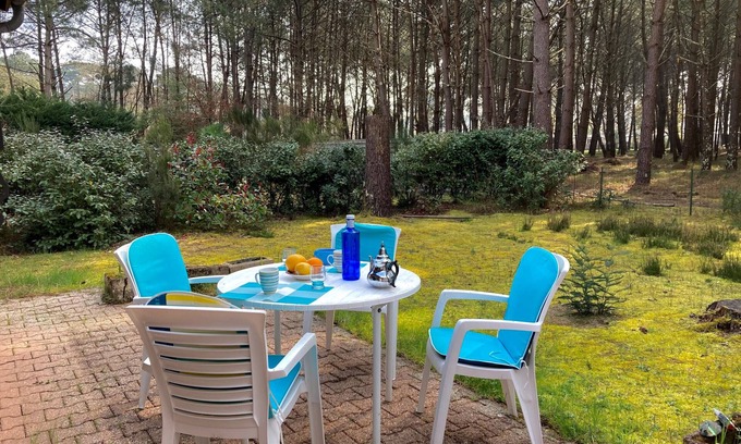 Maubuisson Villa | Petite maison mitoyenne avec jardin en bord de forêt - 342558Appartement mitoyen avec jardin en bordure de forêt