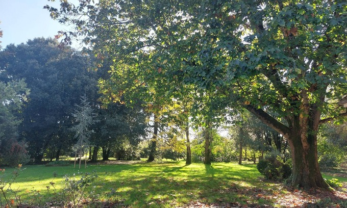 Le Mazeau Bed & Breakfast | Pets allowed