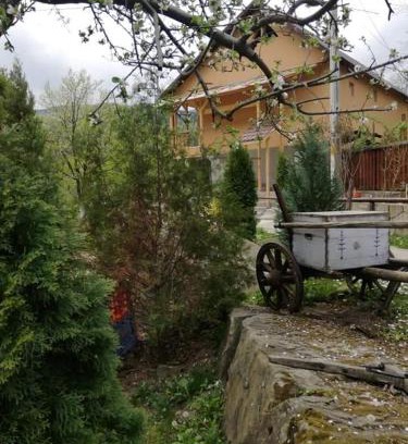 Nehoiu House | Piatra Mare Nehoiu 1