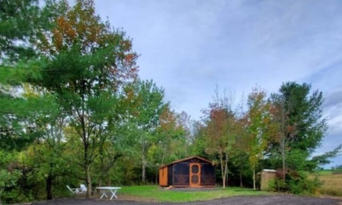 Rock Stream Cabin | Pine Cone Off grid cabin near Watkins Glen, NY!