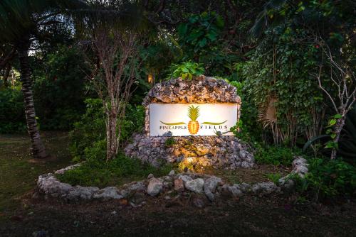 Governor's Harbour Apartment | Pineapple Fields