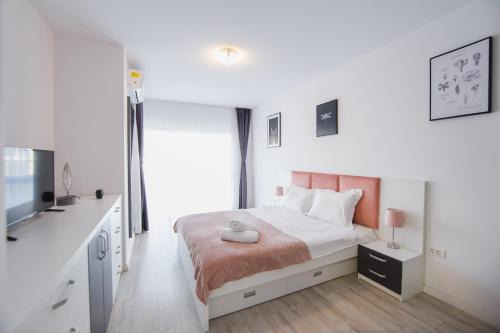 Oradea Apartment | Pinky Black Escape