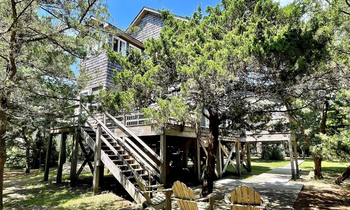 Ocracoke House | Piper Green: Dog friendly on nearly an acre, privacy and tranquility.