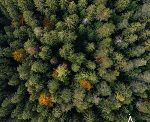 Bossico Other | Placàt Eco Camping nel bosco