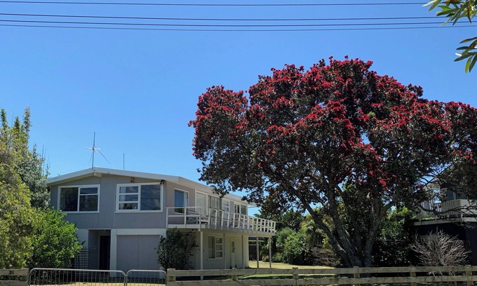 Matapouri House | Playtime Plus - Matapouri Holiday Home