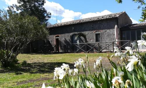 Montelaguardia House | POGGIO ROSETO