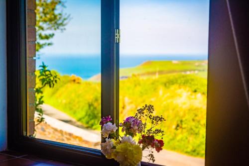 Boscastle House | Polrunny Farm Elderberry Cottage with sea view
