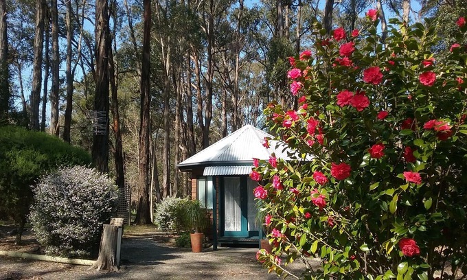 Boolarra Bed & Breakfast | PONDEROSA BED & BREAKFAST