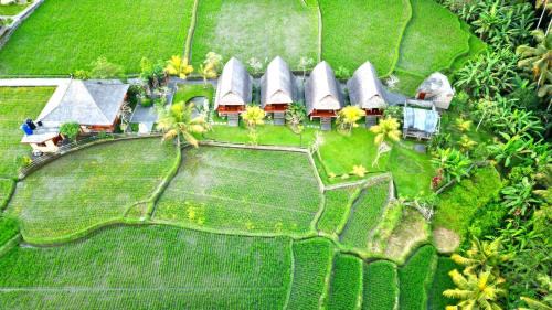 Peliatan Cabin | Pondok Gandalangu Ubud-Dikelilingi Hamparan Sawah