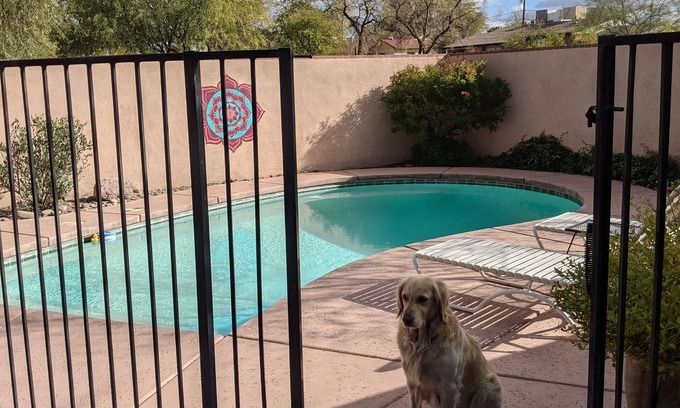 Blenman-Elm House | Pool AC Near UofA and hospital. Quiet, historical neighborhood. Upgraded