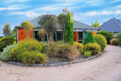 Hanmer Springs House | Popular Family and Pet friendly Modern Cosy Bach WiFi