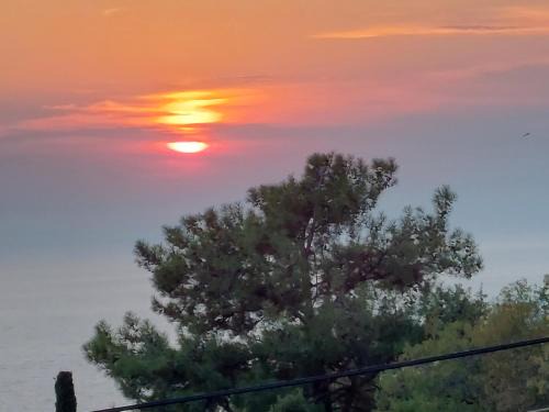 Athani Apartment | PORTO KATSIKI-HOME