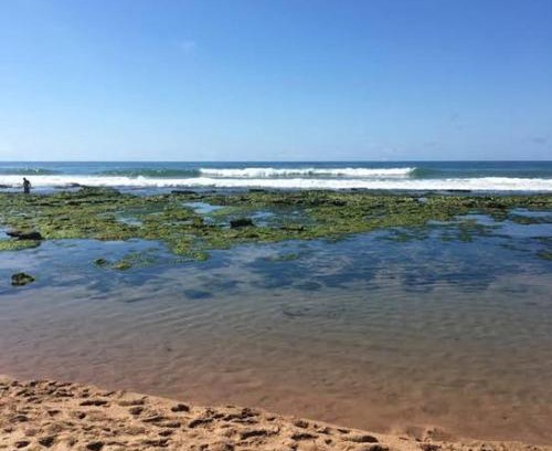 Ipitanga Apartment | praia de ipitanga lauro de freitas