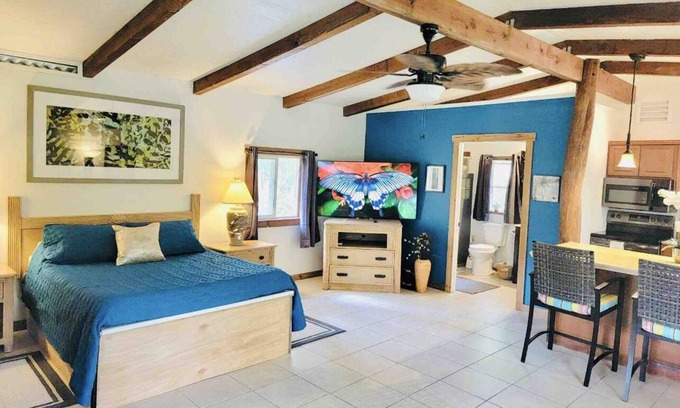 Pahoa Apartment | Private Cabin Suite/ SPA see LAVA at Volcano National Park