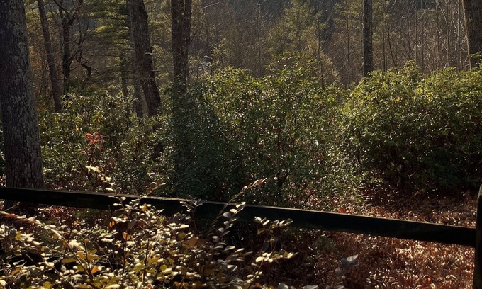 Ferguson House | Private Cabin With Stunning Mountain & Sunset Views – Hot Tub – WiFi