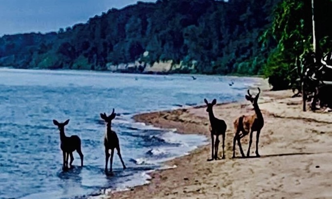 Port Republic House | Private Chesapeake Bay Beach community…love to feel the sand between your toes?