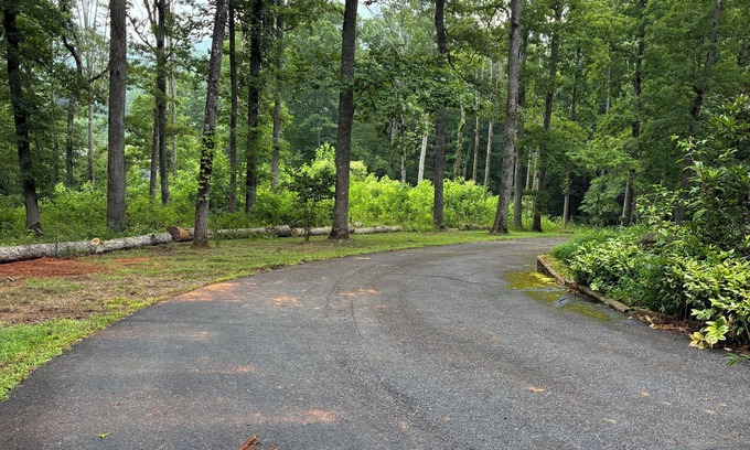 Young Harris House | Private COMFY SECLUDED MOUNTAIN HOME surrounded by trees & views of nature.
