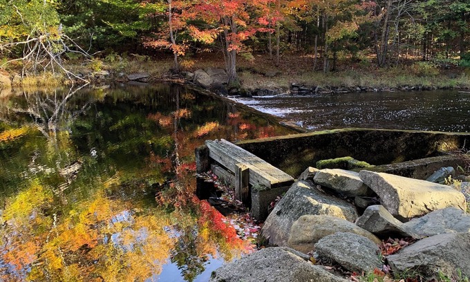 Clare Ski Chalet | Private cottage on 8 wooded and flower-filled acres at Lake Wentworth and the Wentworth River