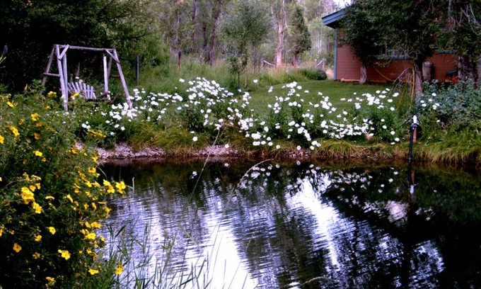 Bedford House | Private home, creek, pond, serene, quiet, breathtaking landscape