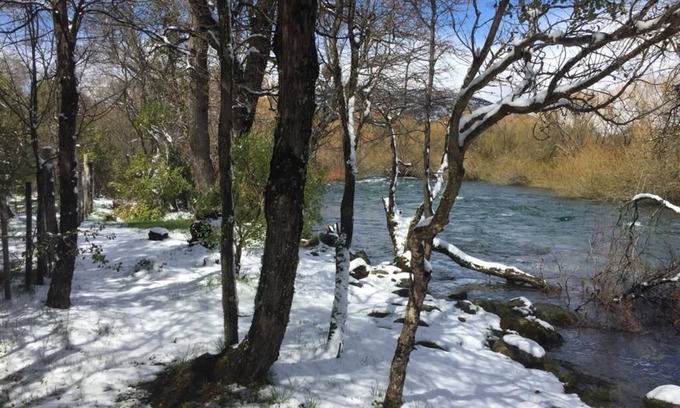 Lolog Bed & Breakfast | Private room on cabin, near water stream and river