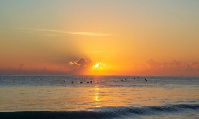 Fort Pierce House | PRIVATE DETACHED GUEST HOUSE 2 MINUTE WALK TO BEACH, SURROUNDED BY NATURE.