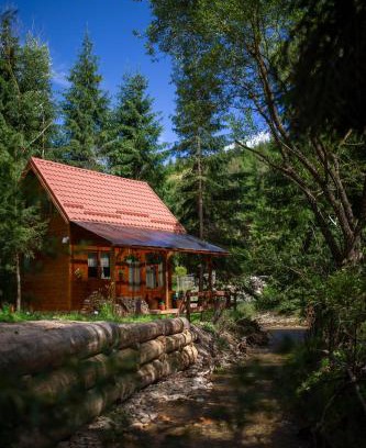 Belis House | Pura Vida Forest Home