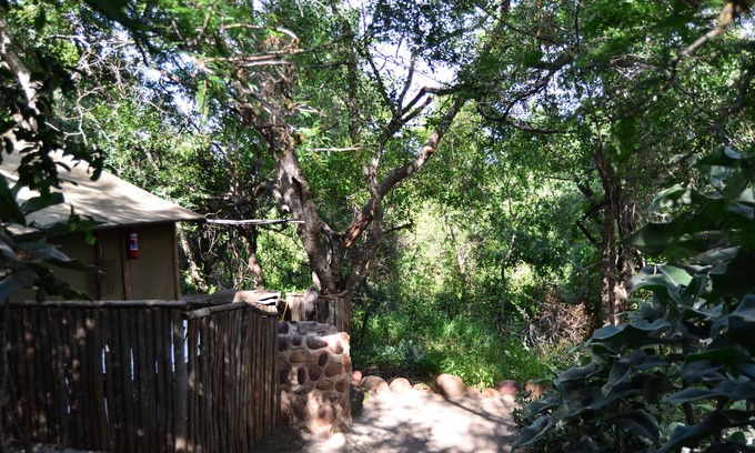 Thorny Bush Game Reserve House | Pure wilderness in Amanzimlotzi Riverside Bush Tent in Limpopo, Kruger Park