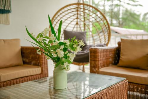 Magnetiti House | Qiwi House