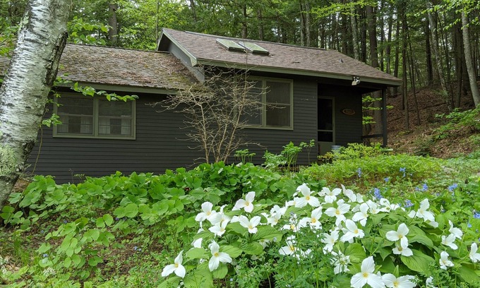 Pittsfield Cabin | Quaint cottage on peaceful NH lake! Enjoy swimming, kayaking, and trails.