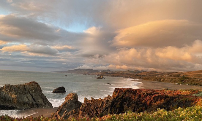 Bodega Bay Cottage | Quaint Ocean Getaway, Walk to Beach, Dogs Invitedn