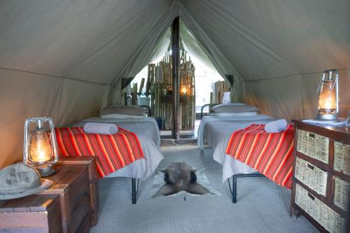 Paterson Other | Quatermain's 1920's Safari Camp – Amakhala Game Reserve