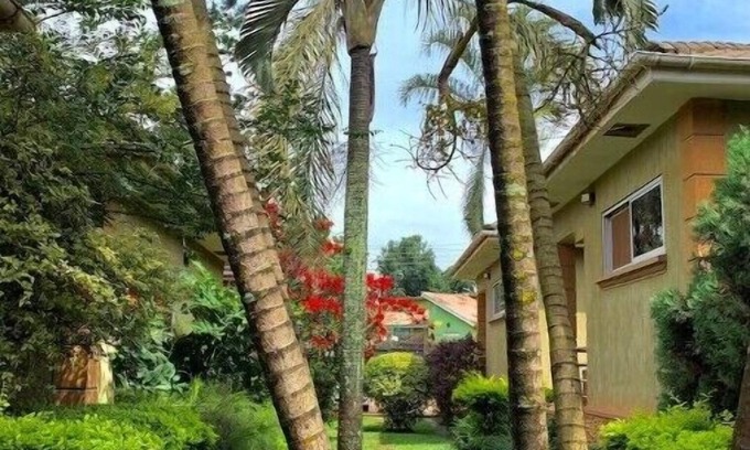 Kampala House | Quiet and peaceful hidden gem surrounded by lush greenery and vibrant flowers.n