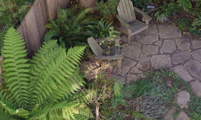 Inner Sunset Apartment | Quiet Garden Studio Near Golden Gate Park