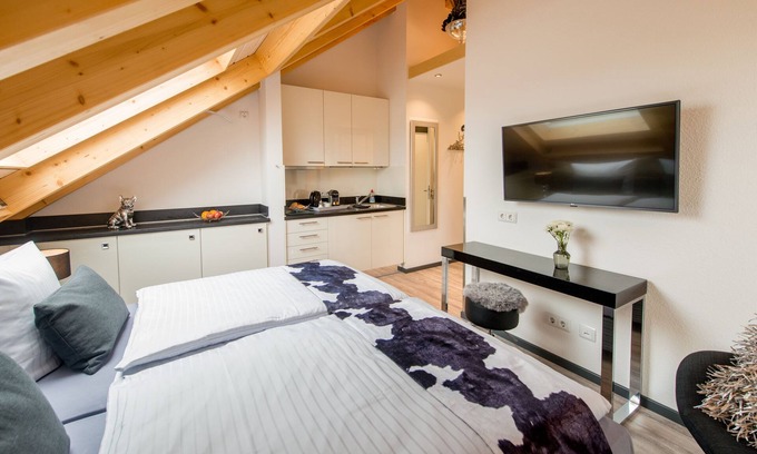 Bensheim Apartment | Quiet luxury apartment with bathroom + mini kitchen for 2 persons. Parking+Internet free