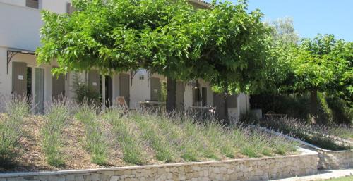 Crillon-le-Brave Apartment | Résidence de gîtes La Sidoine du Mont-Ventoux