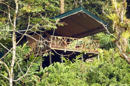 Canton Quepos Cabin | Rafiki Safari Lodge
