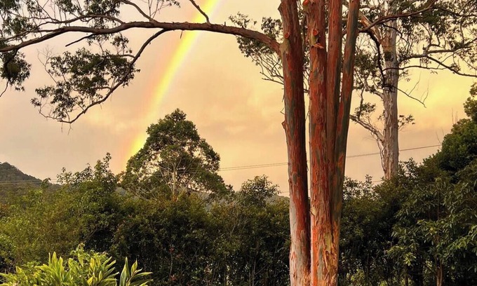 Dairyville Apartment | Rainbow Farm Studio - Sleep to the sounds of the Orara River 15 mins from Coffs.