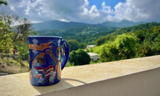 Guzman Abajo House | Rainforest Relaxation at Casa Golden Coqui