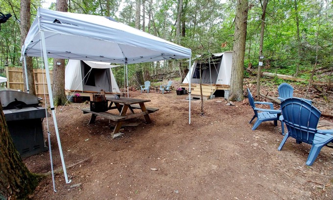 Dover Plains RV Rental | Rare, peaceful glamping, hot shower, mini golf near appalachian trail