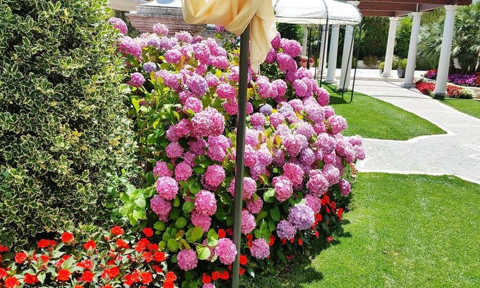 Carpignano Hotel | Regina di Saba Hotel - Villa Ricevimenti