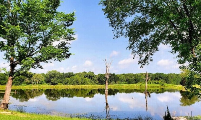 Miller Grove House | Relax and fish after shopping at first Monday